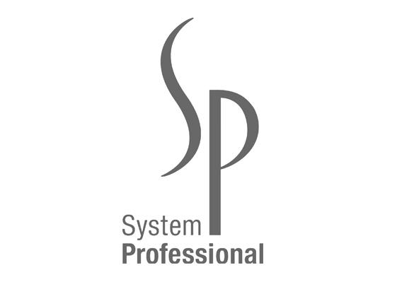 Logo System Professional